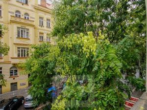 Pronájem bytu 3+kk, Praha - Vinohrady, U Kanálky, 102 m2