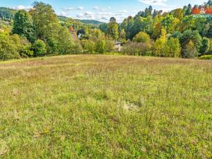 Prodej pozemku pro bydlení, Bohuňov, 10911 m2