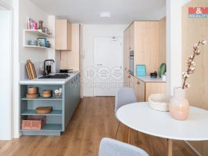 Prodej bytu 1+kk, Praha - Chodov, Čenětická, 24 m2