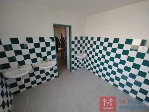 Prodej chaty, Lančov, 310 m2