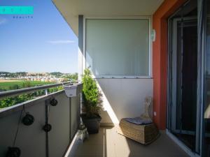 Pronájem bytu 1+kk, Olomouc - Povel, Jeremiášova, 35 m2