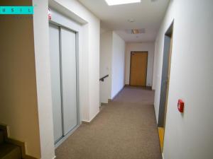 Pronájem bytu 1+kk, Olomouc - Povel, Jeremiášova, 35 m2