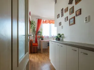 Prodej bytu 3+1, Velké Bílovice, Široká, 103 m2