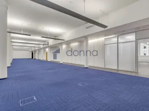 Pronájem kanceláře, Praha - Karlín, Křižíkova, 388 m2