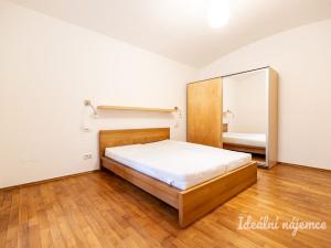 Pronájem bytu 1+1, Praha - Nové Město, Trojanova, 34 m2