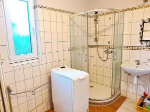 Pronájem rodinného domu, Písek - Budějovické Předměstí, Za Nádražím, 240 m2