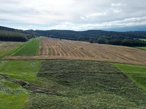 Prodej pole, Nová Ves, 118018 m2