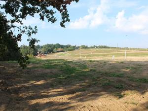 Prodej pozemku pro bydlení, Dalovice, Okrajová, 811 m2