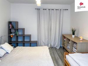 Pronájem bytu 2+1, Břidličná, Osvobození, 50 m2