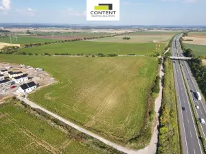 Prodej komerčního pozemku, Nehvizdy, Družstevní, 9021 m2