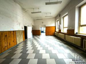 Prodej obchodního prostoru, Dnešice - Černotín, 268 m2