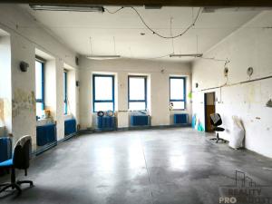 Prodej obchodního prostoru, Dnešice - Černotín, 268 m2