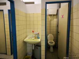 Prodej obchodního prostoru, Dnešice - Černotín, 268 m2