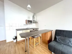 Pronájem bytu 1+kk, České Budějovice - České Budějovice 5, Suchovrbenské nám., 42 m2