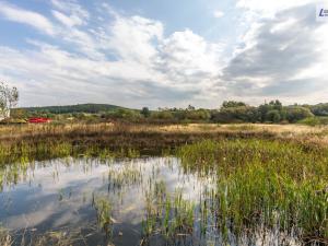 Prodej výrobních prostor, Příbram - Příbram I, Dělostřelecká, 2099 m2