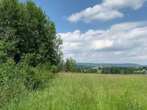 Prodej pozemku pro bydlení, Liběšice - Zimoř, 8000 m2