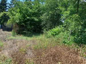 Prodej pozemku pro bydlení, Liběšice - Zimoř, 8000 m2