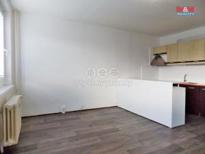 Pronájem bytu 1+kk, Ústí nad Labem - Krásné Březno, Obvodová, 32 m2