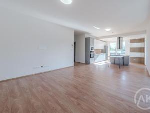 Pronájem bytu 3+kk, Bravantice, 81 m2