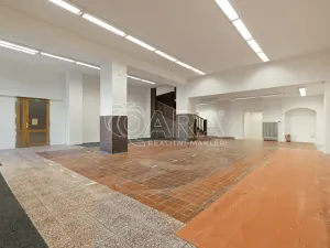 Pronájem obchodního prostoru, Nový Jičín, Masarykovo nám., 500 m2