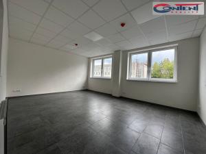 Pronájem výrobních prostor, Tábor - Čekanice, 1300 m2