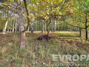 Prodej pozemku pro bydlení, Pečice - Pečičky, 2330 m2