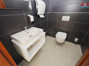 Prodej obchodního prostoru, Zbraslavice, 1381 m2