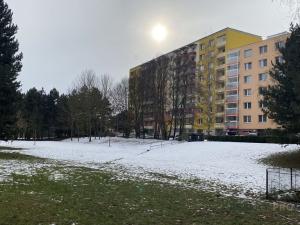 Pronájem bytu 1+1, Brno, Ondrouškova, 33 m2