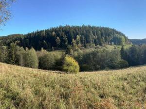 Prodej louky, Staré Buky - Prostřední Staré Buky, 24227 m2