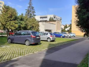 Prodej bytu 3+1, České Budějovice - České Budějovice 3, J. Plachty, 65 m2