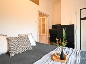 Prodej bytu 2+kk, Praha - Holešovice, Na Maninách, 58 m2