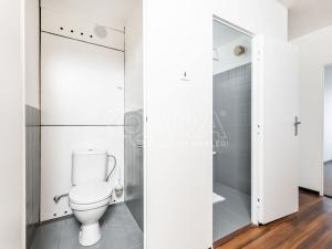 Prodej bytu 2+kk, Praha - Řepy, Na chobotě, 44 m2