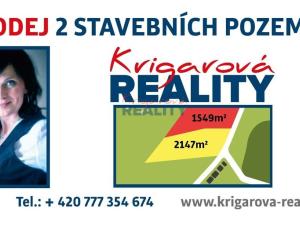 Prodej komerčního pozemku, Lužnice, 1549 m2