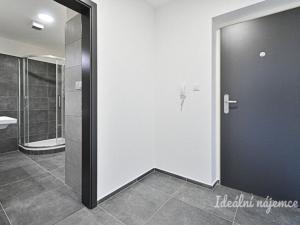 Pronájem bytu 1+kk, Brno, Křepelčí, 33 m2