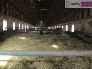 Prodej zemědělského objektu, Vřeskovice, 3000 m2