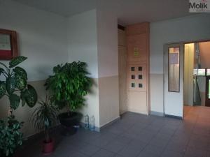 Prodej bytu 3+1, Chomutov, 17. listopadu, 79 m2