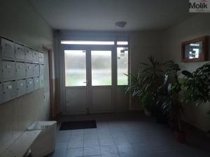 Prodej bytu 3+1, Chomutov, 17. listopadu, 79 m2