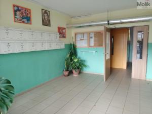 Prodej bytu 3+1, Chomutov, 17. listopadu, 78 m2