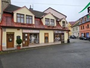 Prodej obchodního prostoru, Tachov, Dolní Předměstí, 44 m2