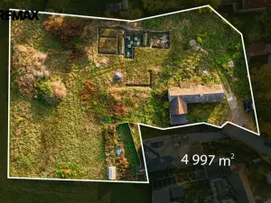Prodej pozemku pro bydlení, Březová-Oleško - Březová, Hlavní, 4997 m2