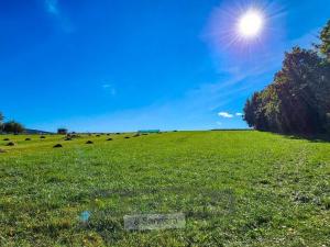 Prodej pozemku pro bydlení, Soběnov, 5997 m2