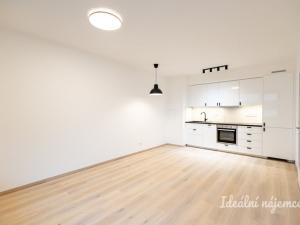 Pronájem bytu 2+kk, Praha - Žižkov, Olgy Havlové, 46 m2