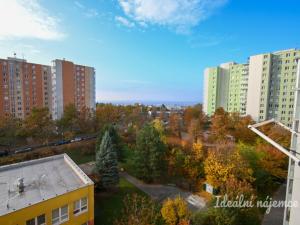 Pronájem bytu 2+kk, Brno - Židenice, Bořetická, 40 m2