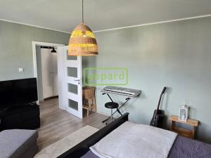 Prodej rodinného domu, Homole - Nové Homole, Korosecká, 210 m2