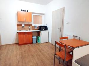 Pronájem bytu 1+kk, Brno - Bohunice, Havelkova, 49 m2