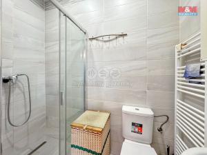 Pronájem bytu 1+kk, Šimonovice - Minkovice, Šimonovická, 20 m2