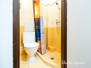 Pronájem bytu 1+kk, Praha - Vinohrady, Sobotecká, 18 m2