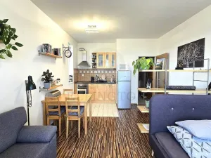Pronájem bytu 1+kk, Roztoky, Najdrova, 32 m2