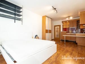 Pronájem bytu 1+kk, Praha - Kunratice, Velké Kunratické, 28 m2