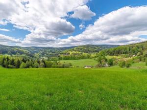 Prodej chalupy, Lipová-lázně - Horní Lipová, Horní Lipová, 420 m2